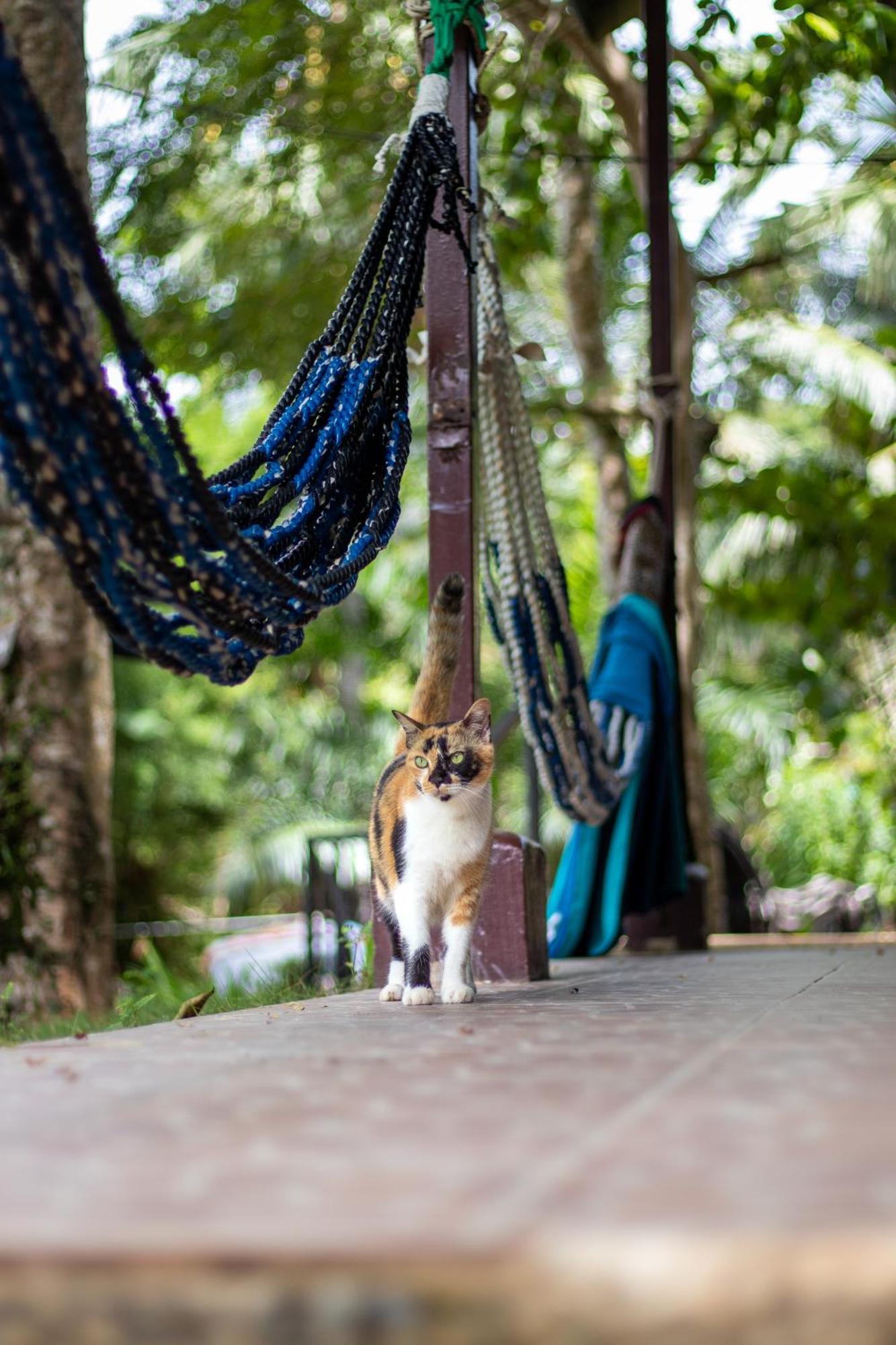 Cliff Cottage Koh Chang Ngoại thất bức ảnh